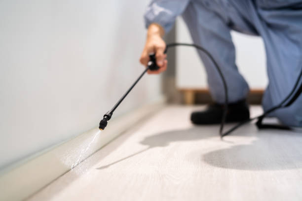 Rodent Entry Point Assessment in White Knoll