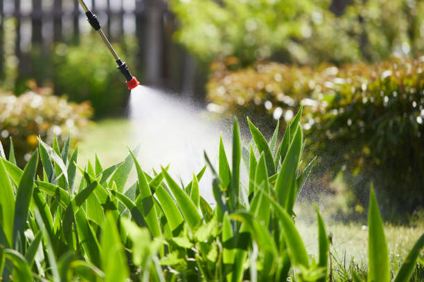 Tamper-Resistant Bait Stations for Rodents in White Knoll