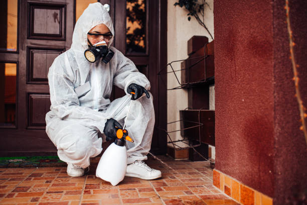 Attic and Crawl Space Rodent Treatment in White Knoll