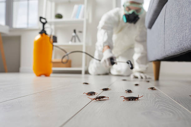 Commercial Rodent Management in White Knoll